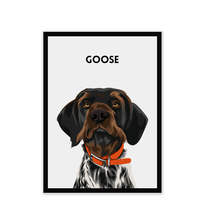 Custom Pet Portraits